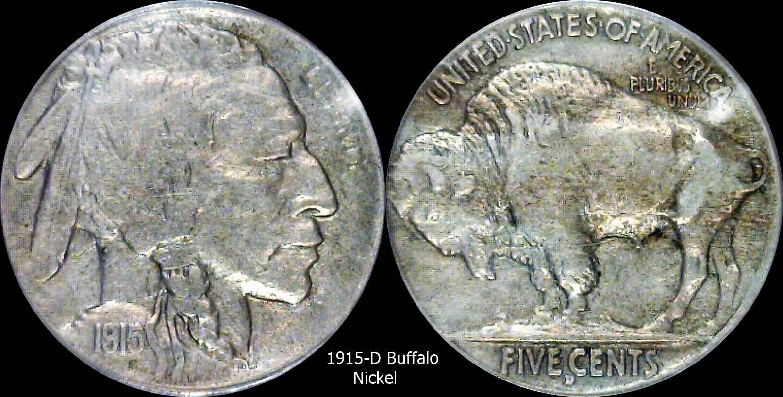 1915 D Buffalo Nickel.jpg