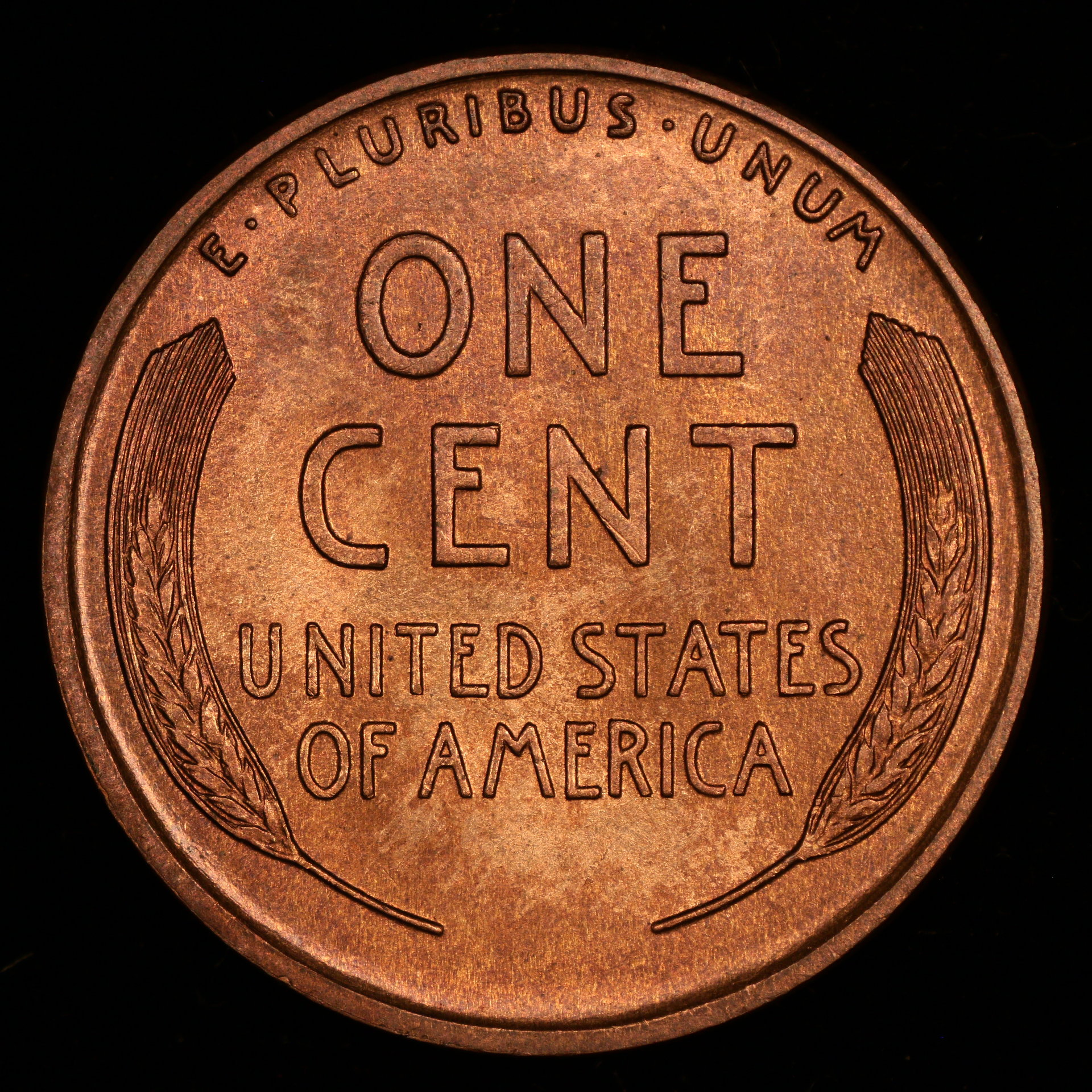 1915-d-re.JPG