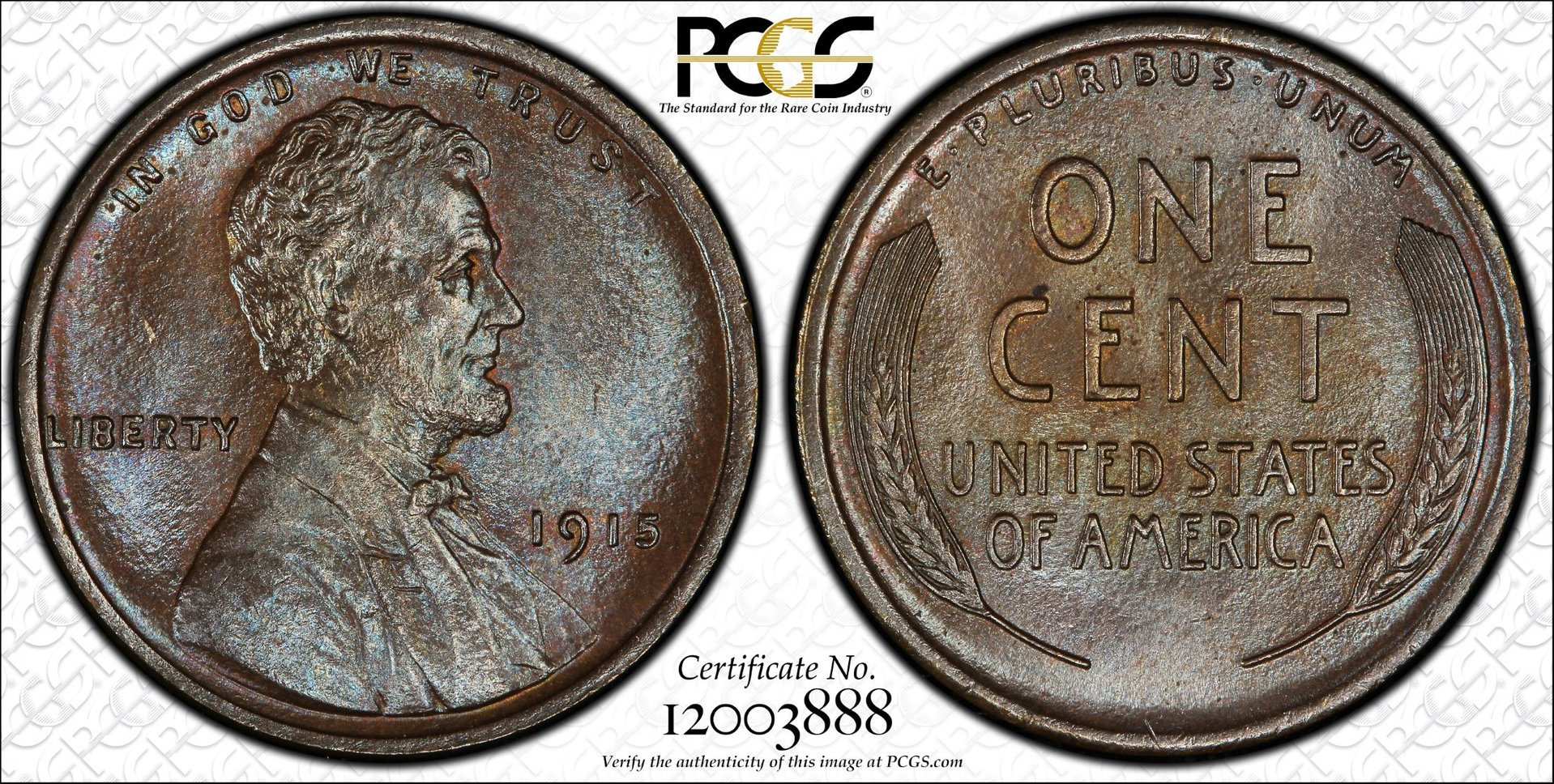 1915-P_65BN_TrueView_12003888_ExtraLarge.jpg