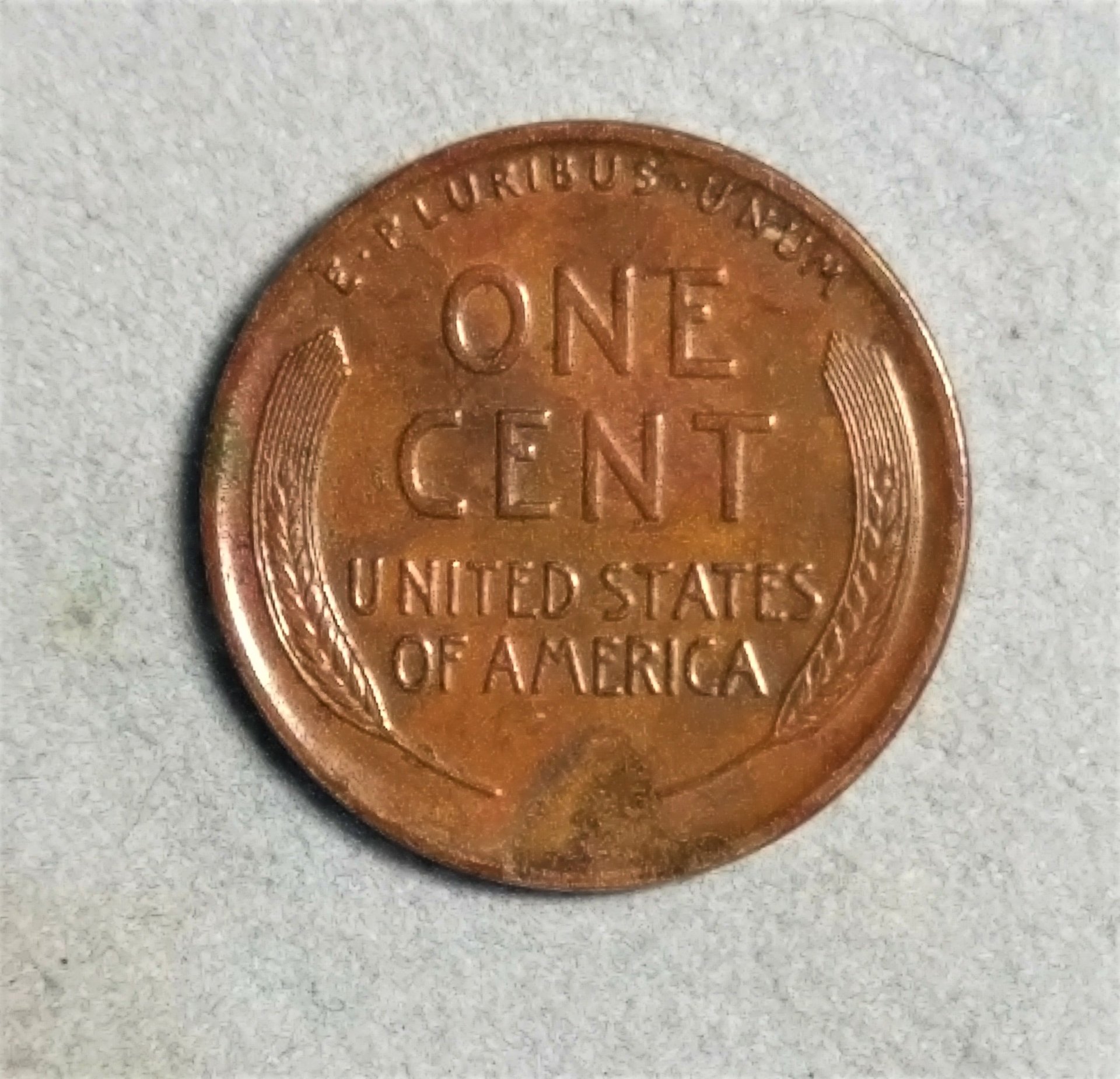 1915-S_Reverse.jpg