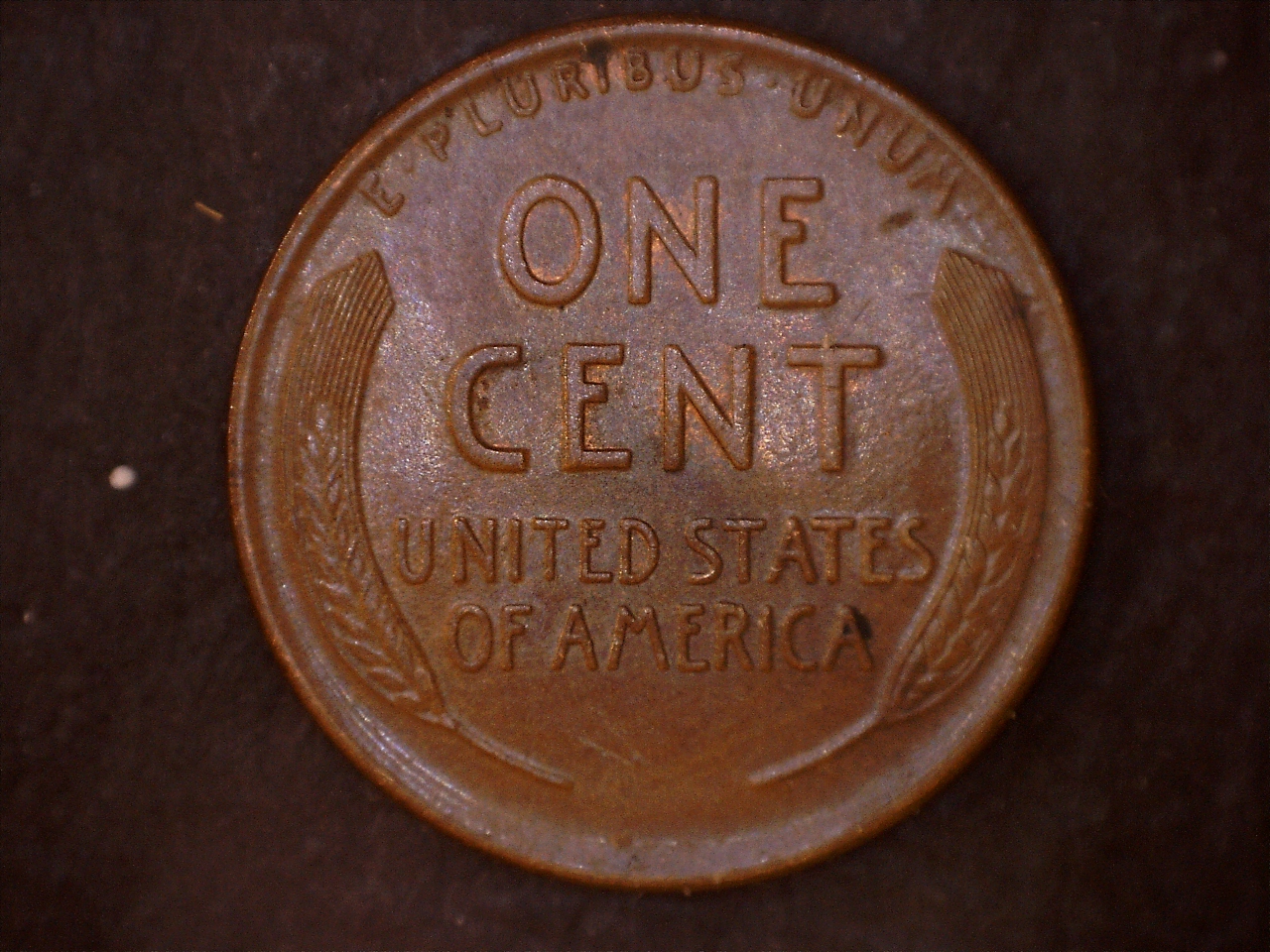 1915D r.jpg