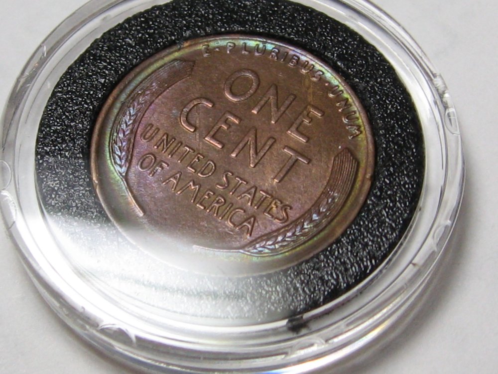1915Drev.jpg