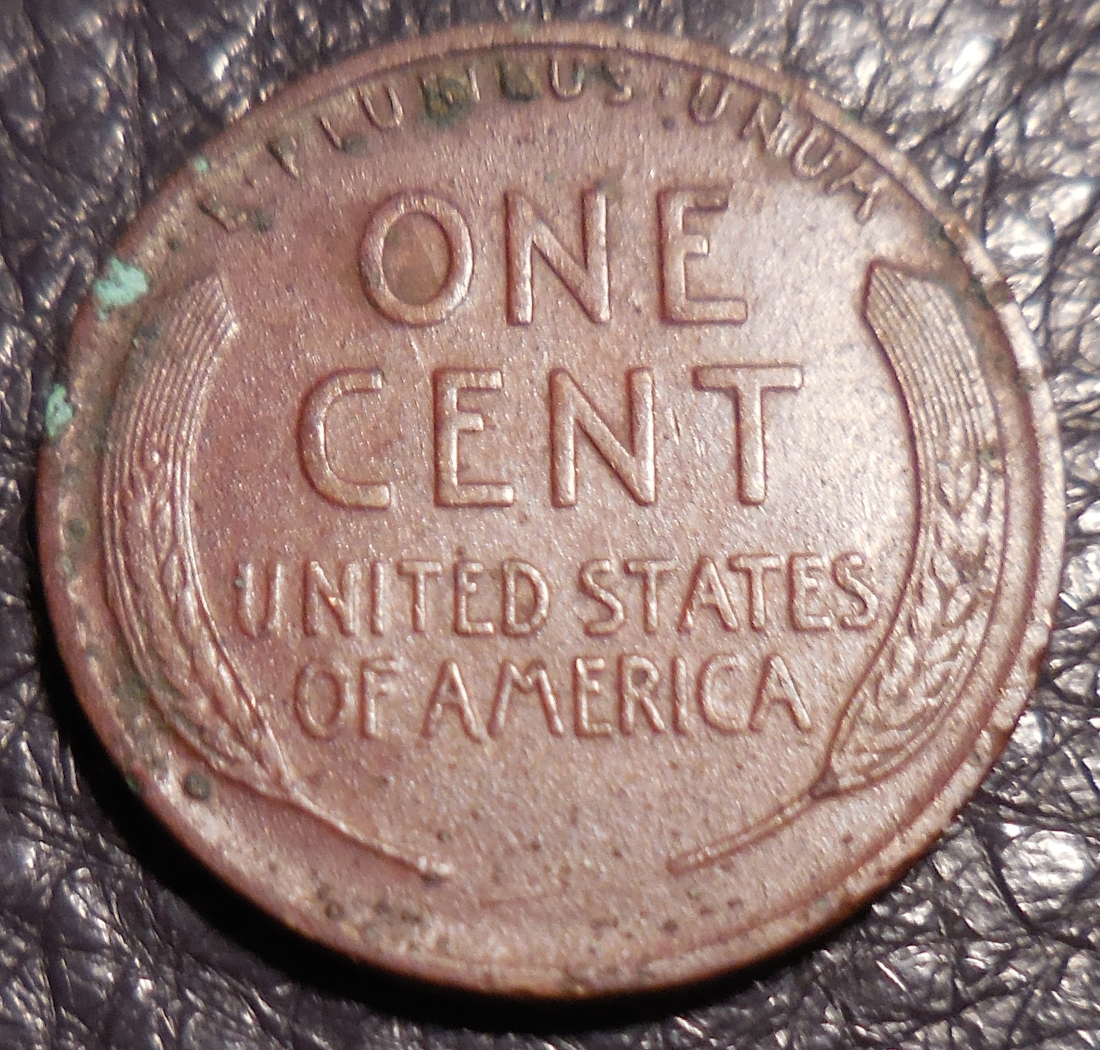 1915dREV.JPG