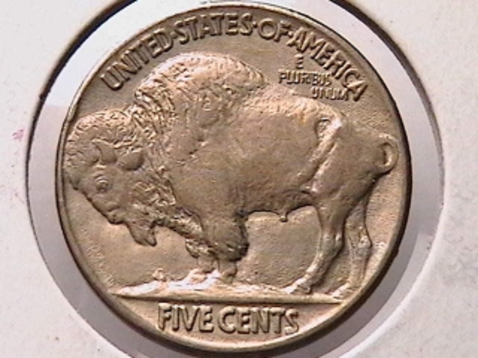 1916 5c d.jpg