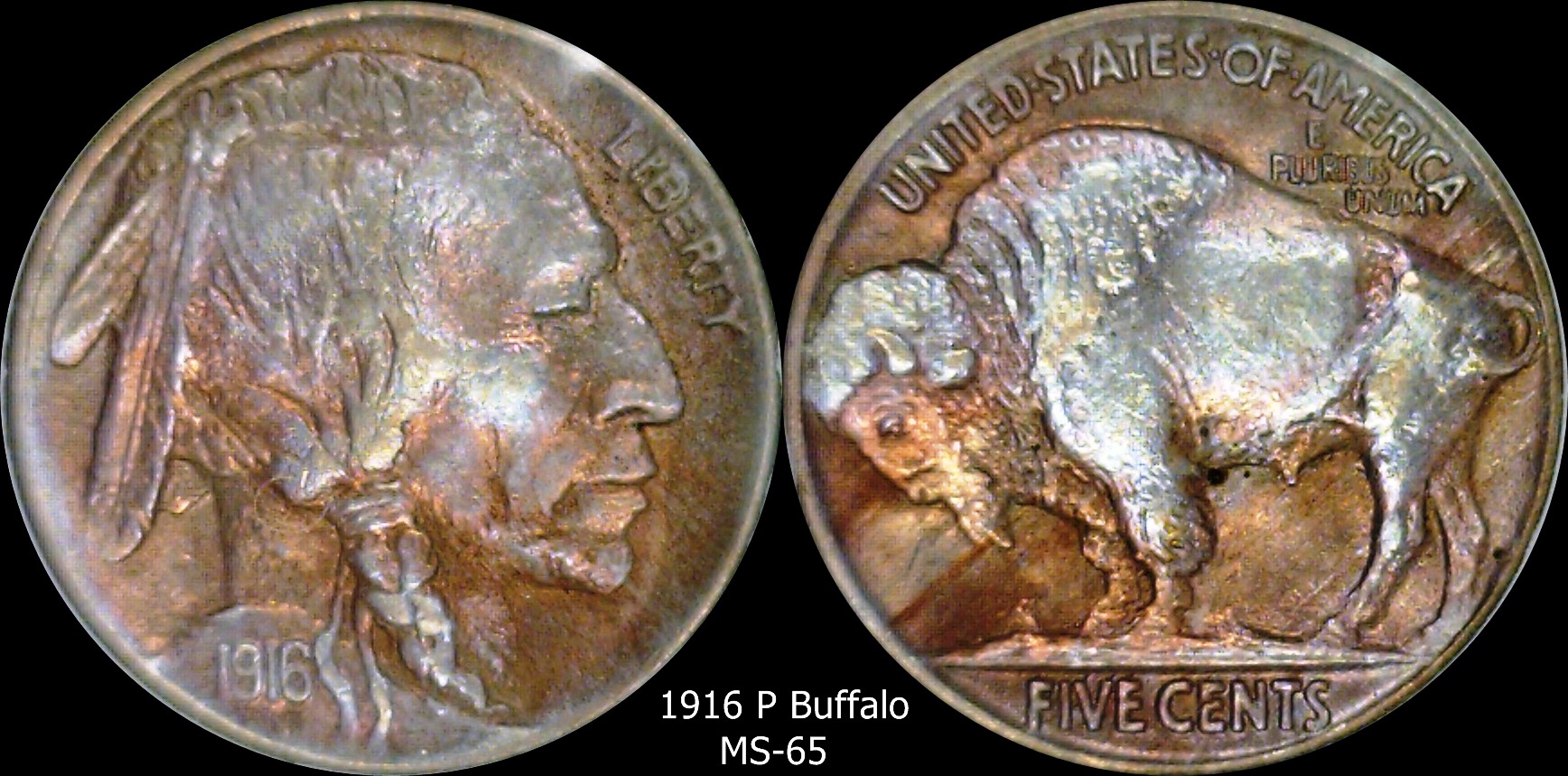 1916 Buffalo MS 65.jpg