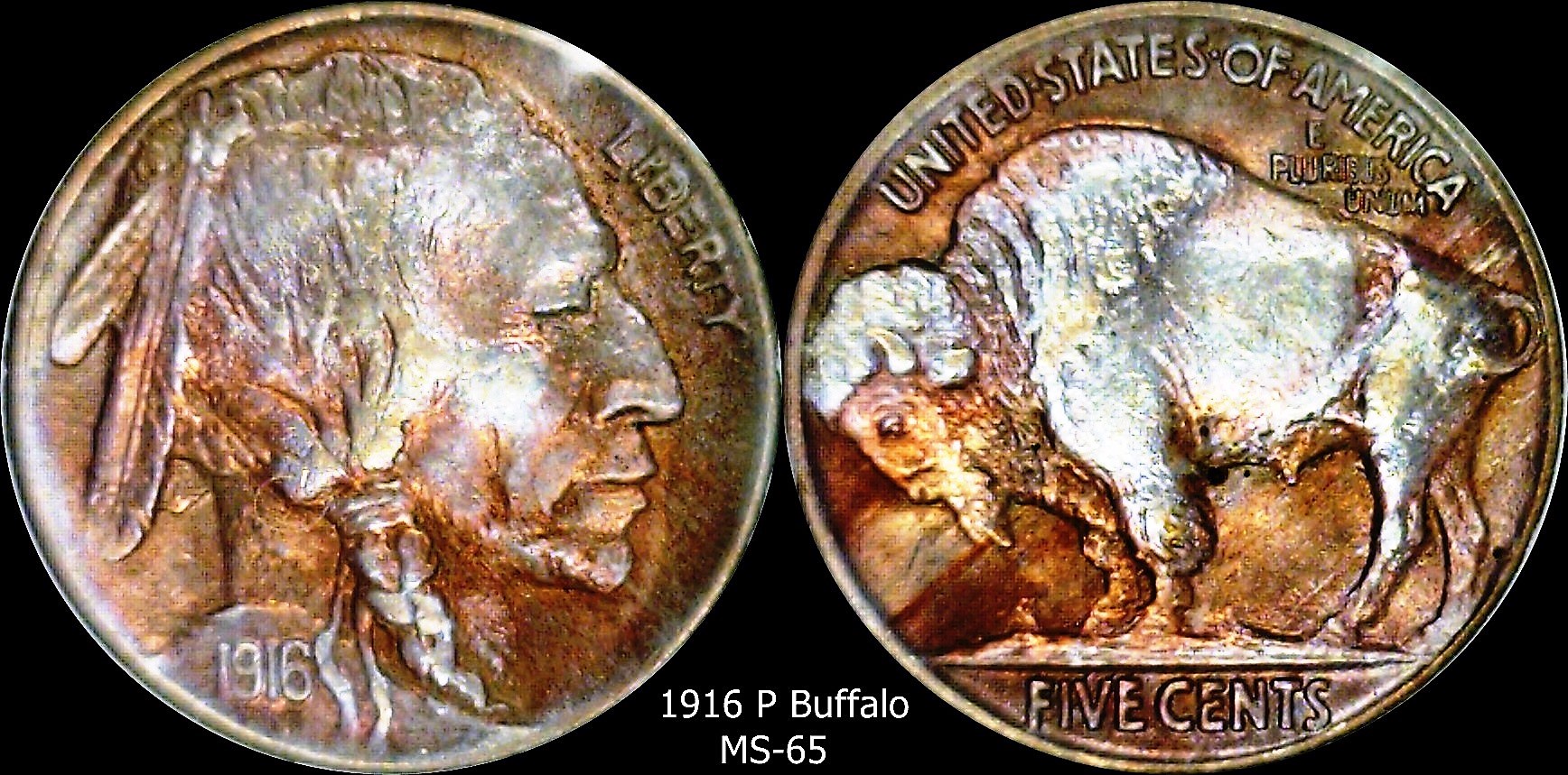 1916 Buffalo MS 65.jpg