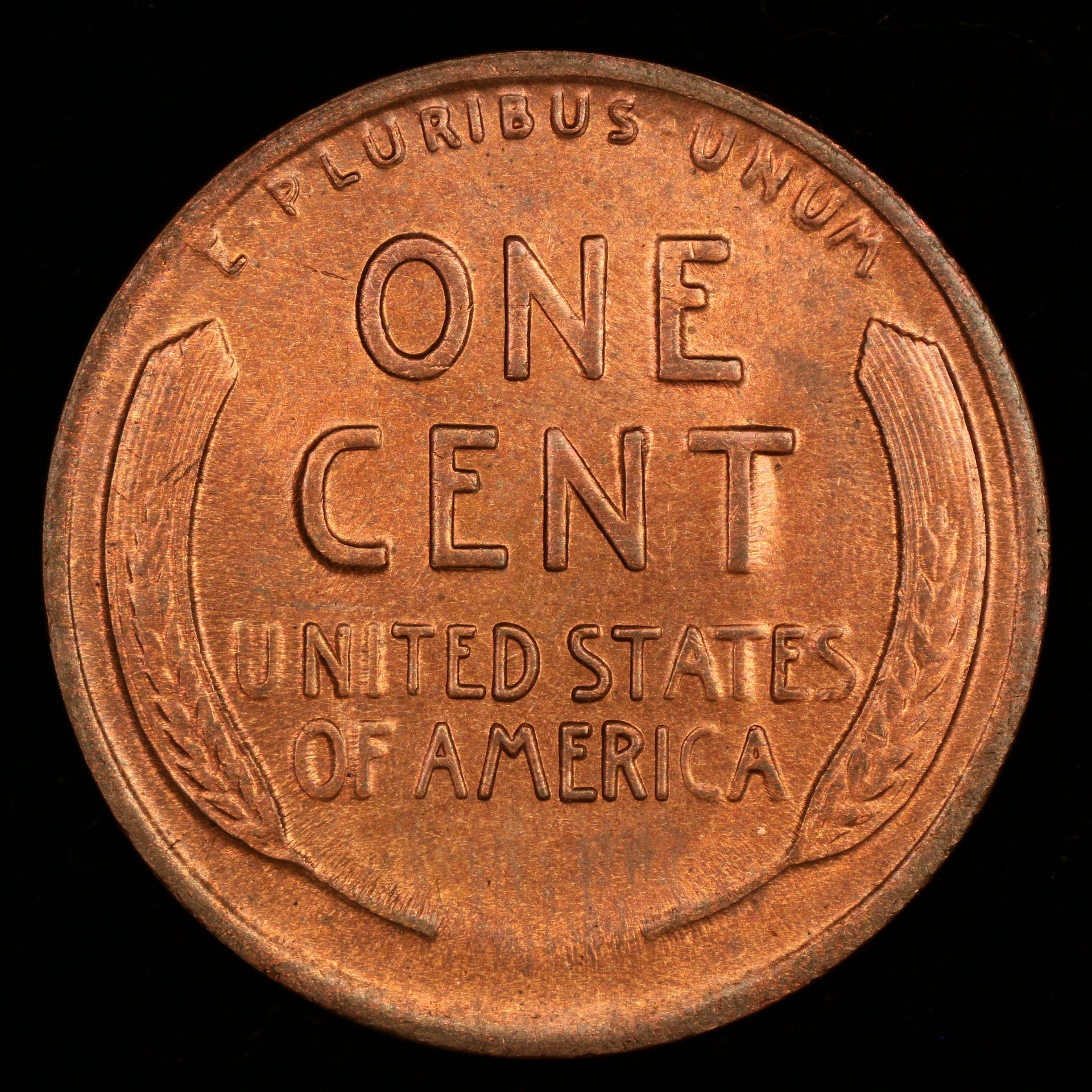 1916-d-re.JPG