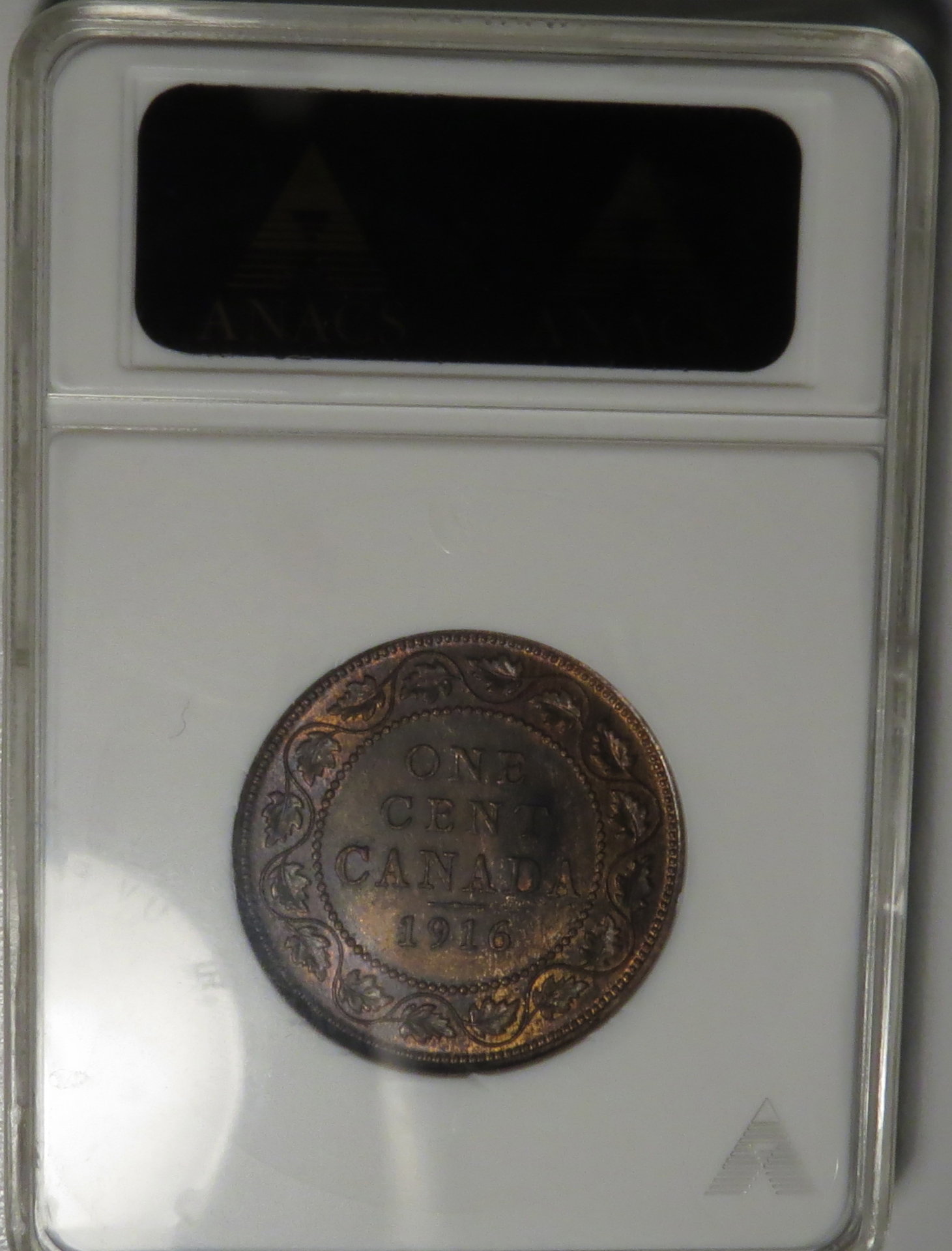 1916 MS63 RB Canadian Large 1C Reverse.JPG