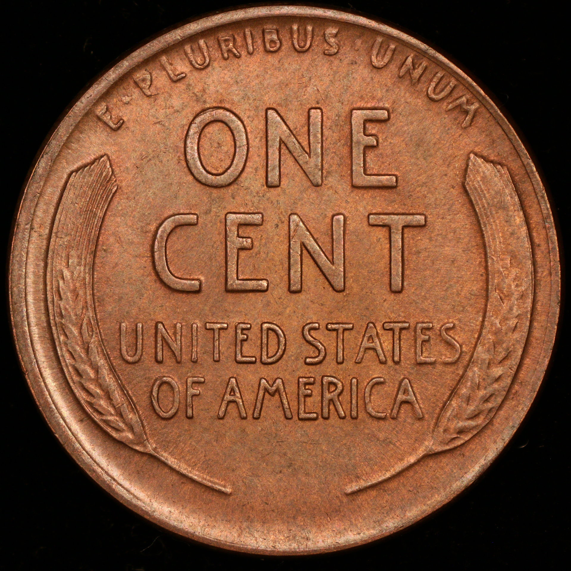 1917-d-re.JPG