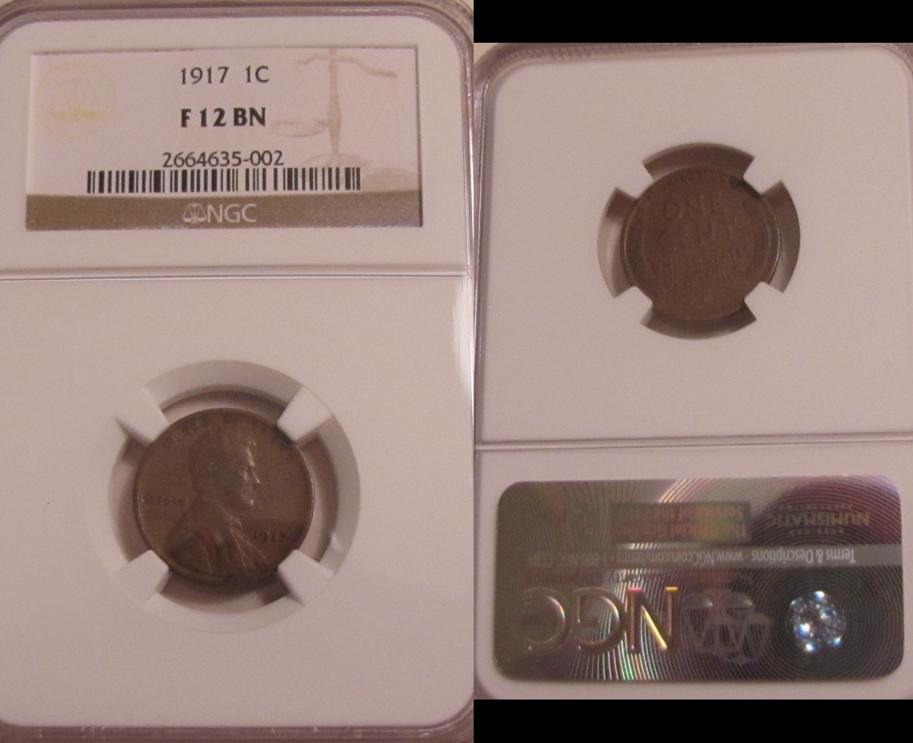 1917 F12 NGC.jpg