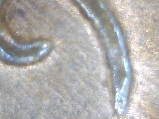 1917 obv 1.jpg