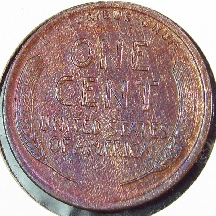 1917- WG64 Rb.JPG