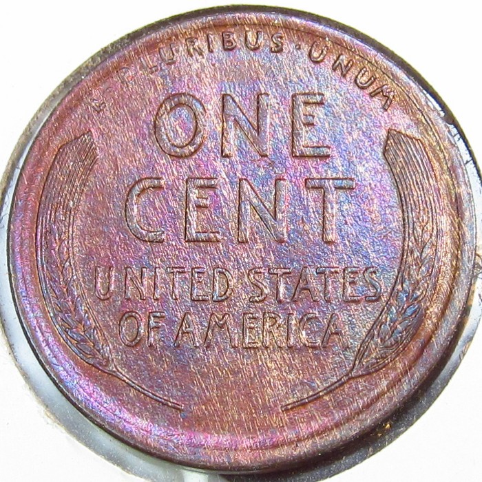 1917- WG64 Rc.JPG