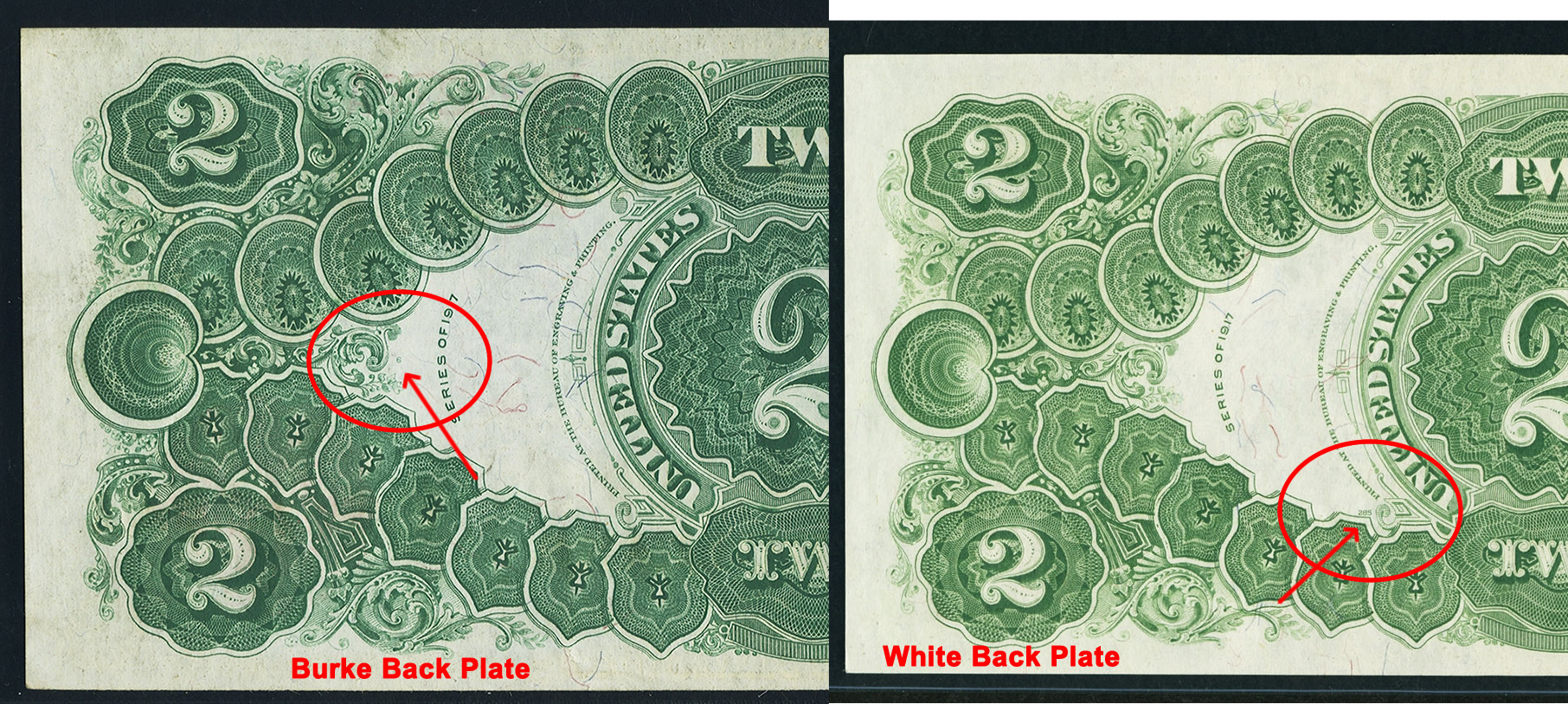 19172.jpg