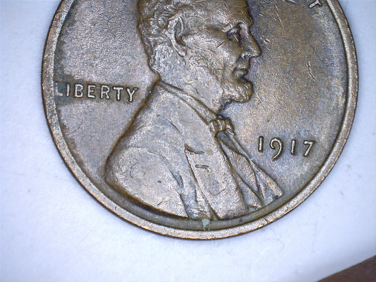 19172.jpg
