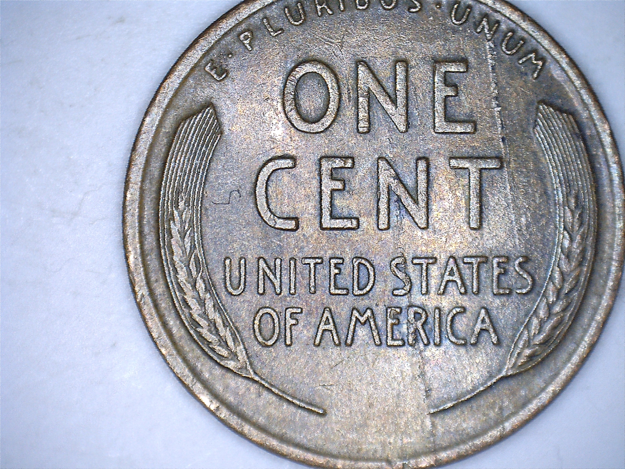 19175.jpg