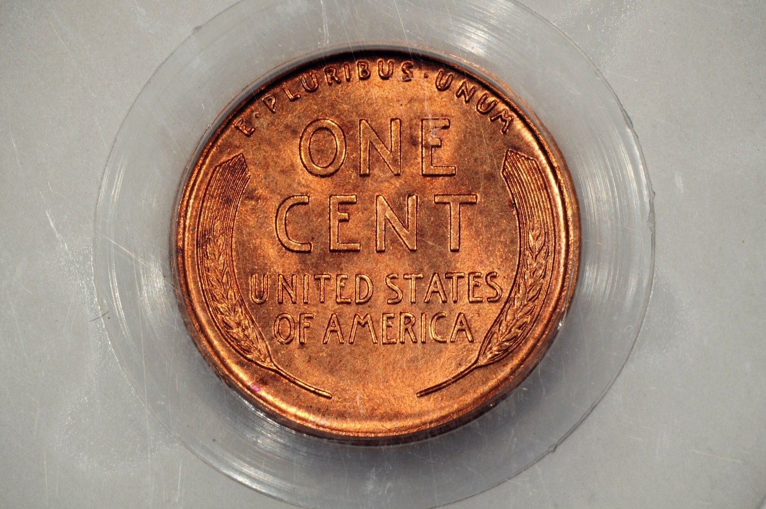 1917D..JPG