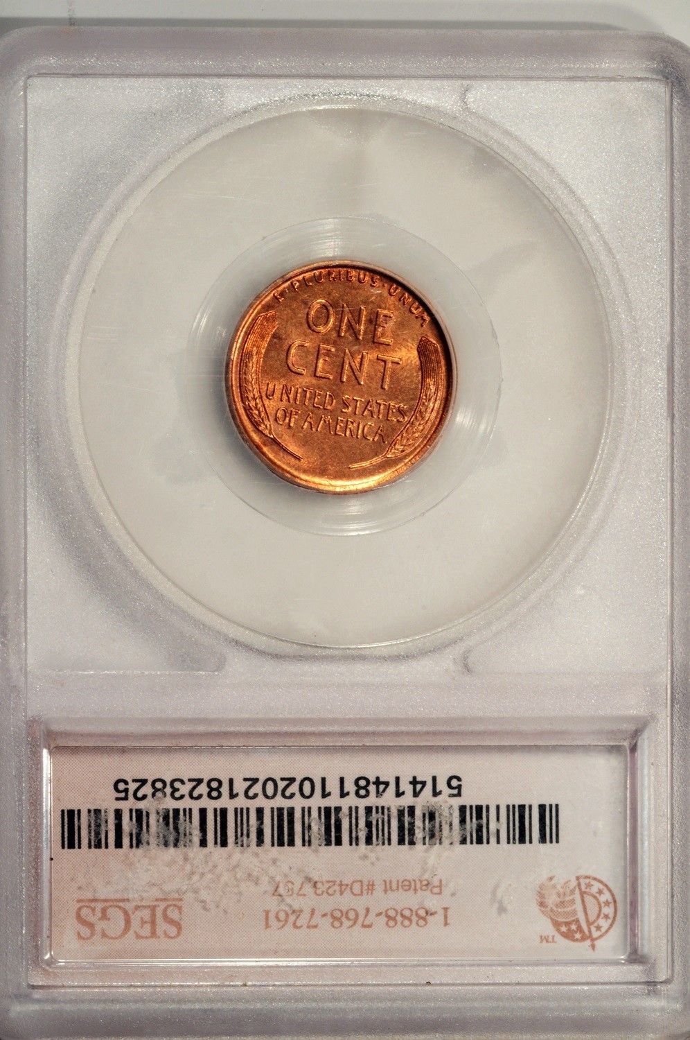 1917D SEGS.JPG