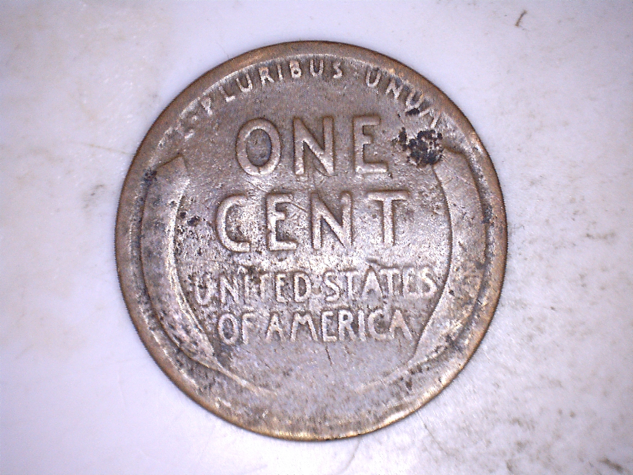 1917d2.jpg