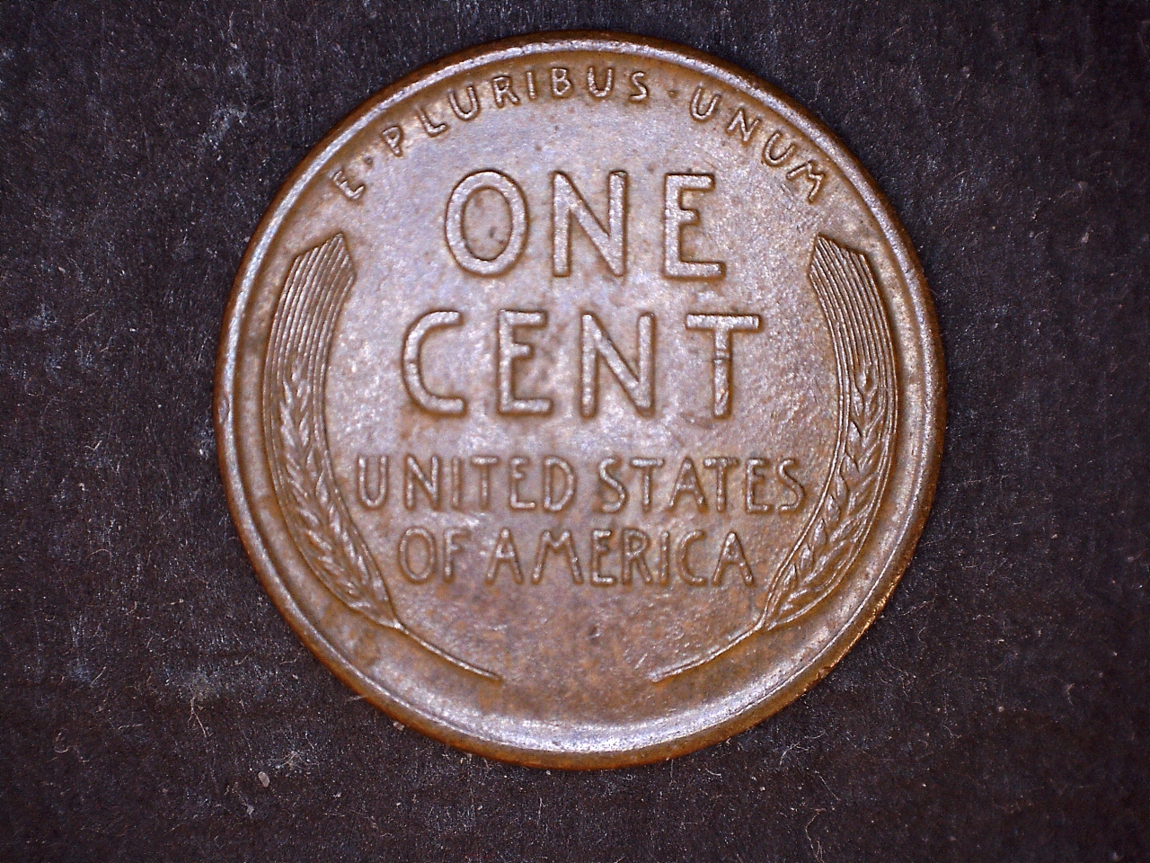 1917r.jpg