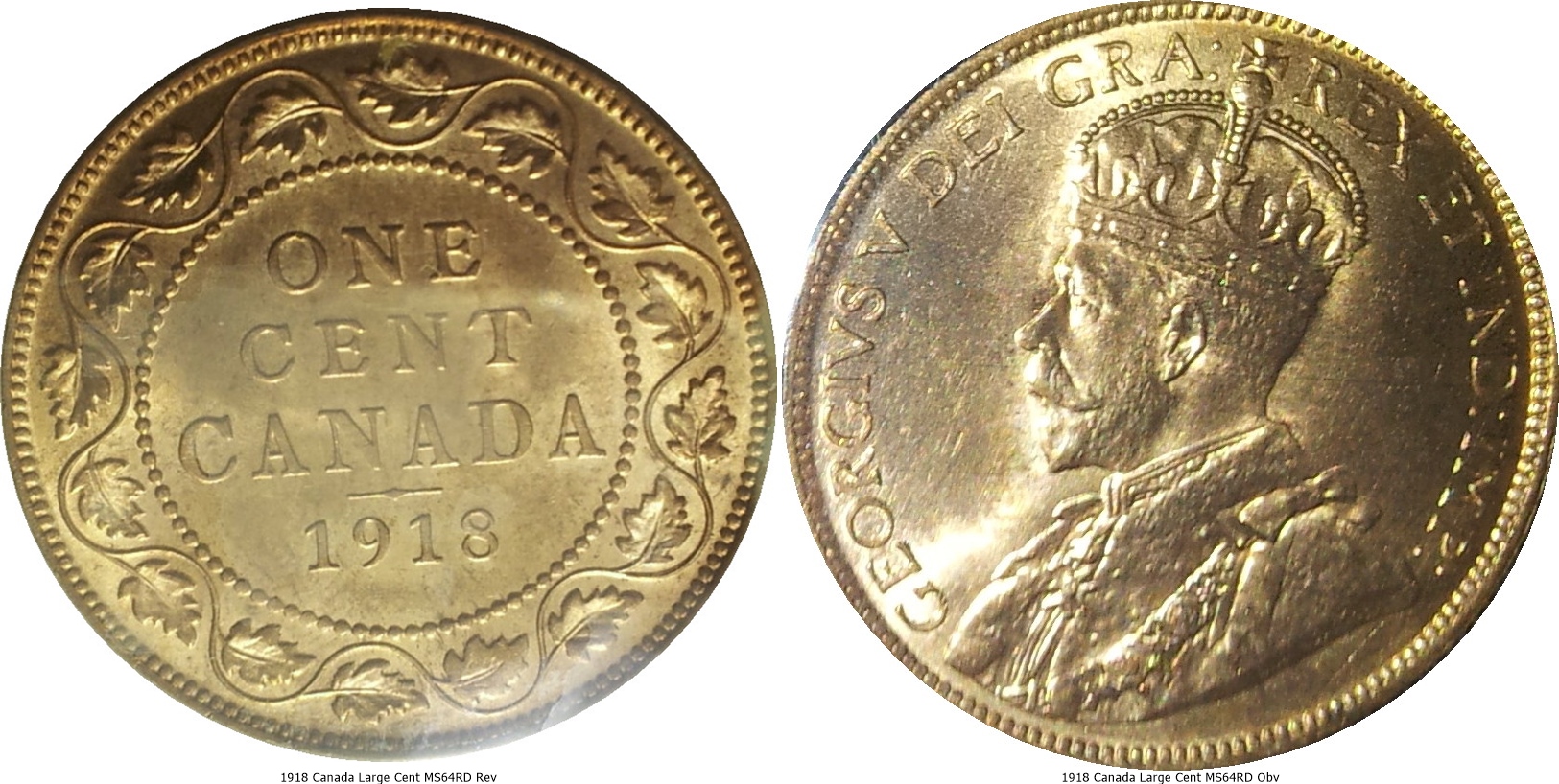 1918 Canada Large Cent MS64RD -tile.jpg