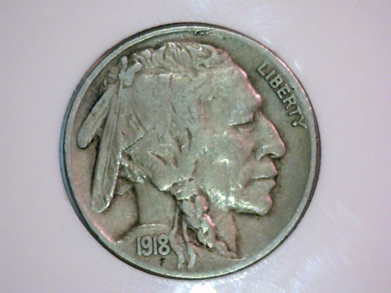 1918 Obv. Buffalo 5117.jpg