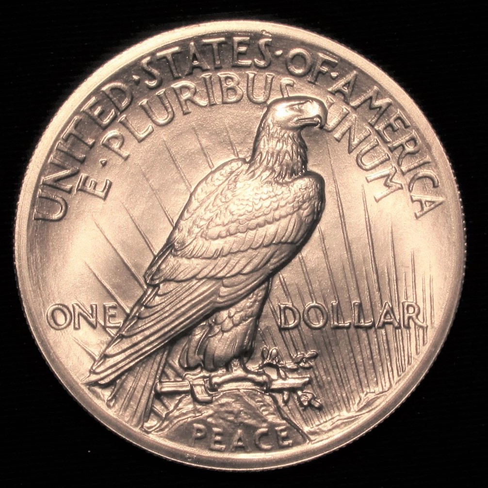 1918 Peace Dollar OS - Broken Sword - Die #2 (high grade) - reverse.JPG