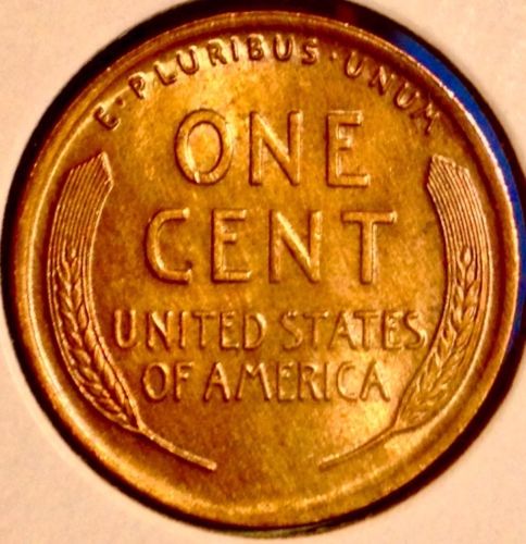 19182.jpg
