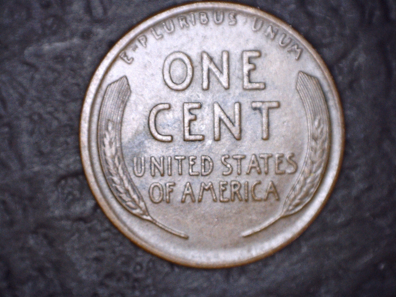 1918D r.jpg