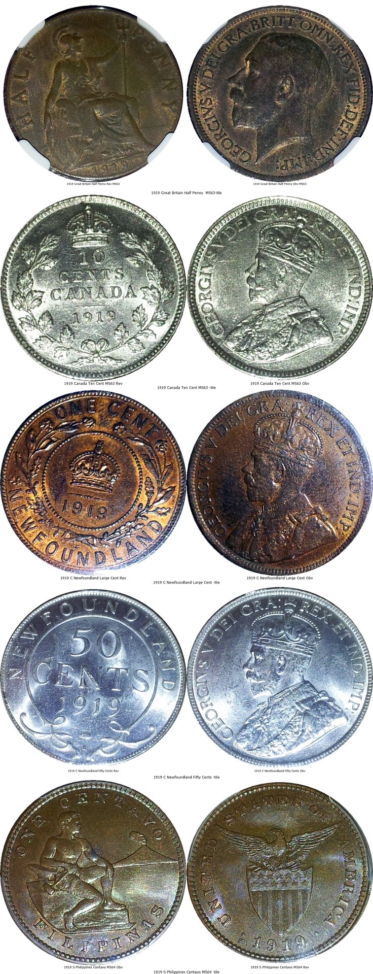 1919 assorted tile.jpg