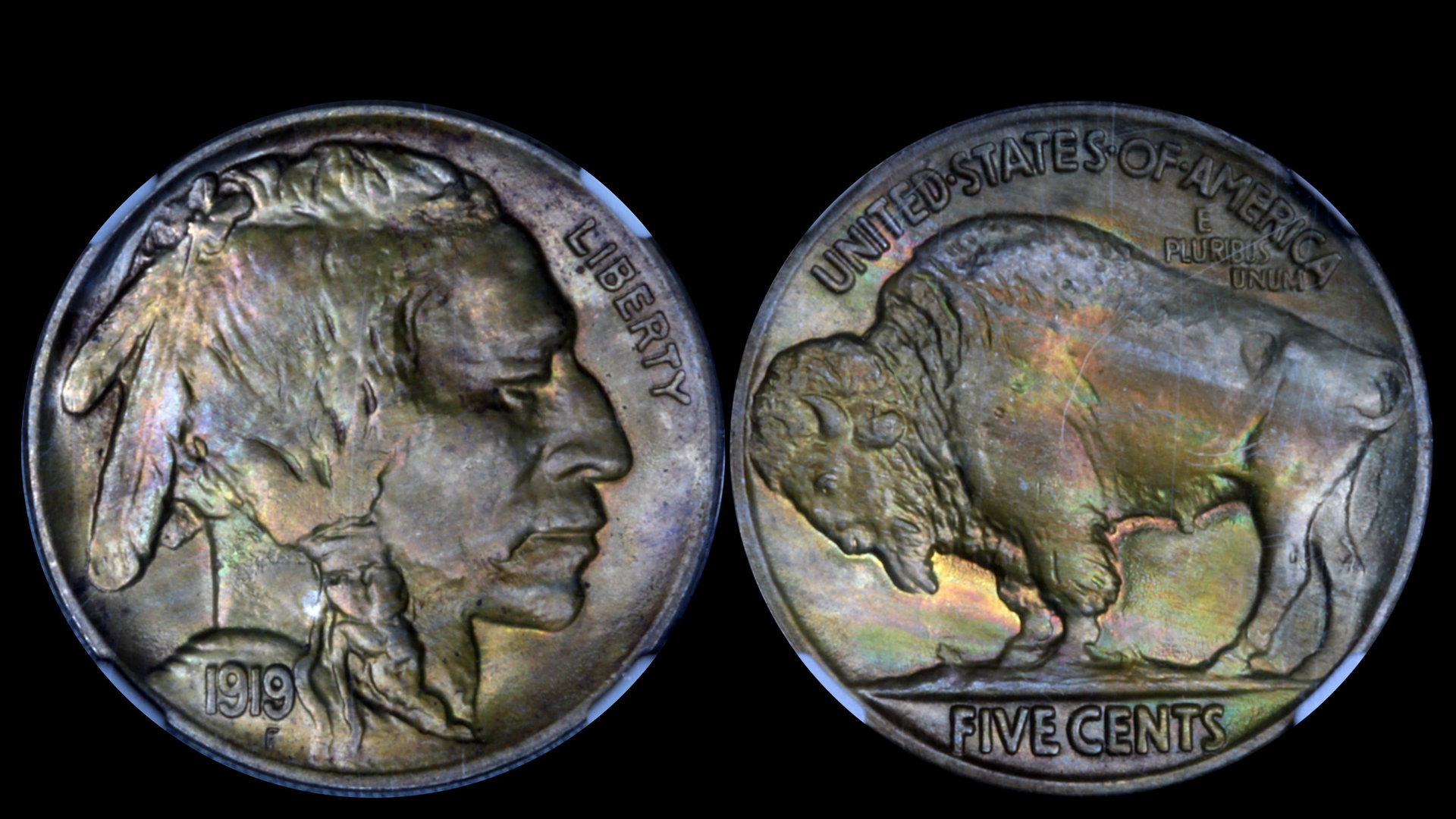 1919 Buffalo Nickel NGC MS63.jpg