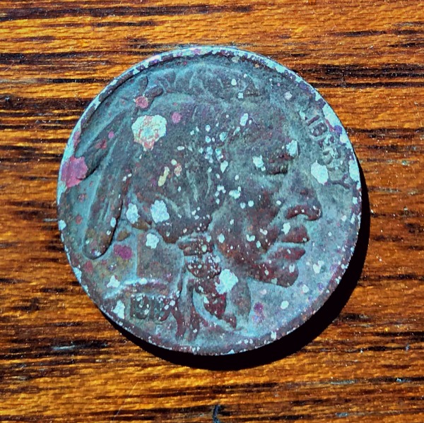 1919 Buffalo nickel obv.jpg