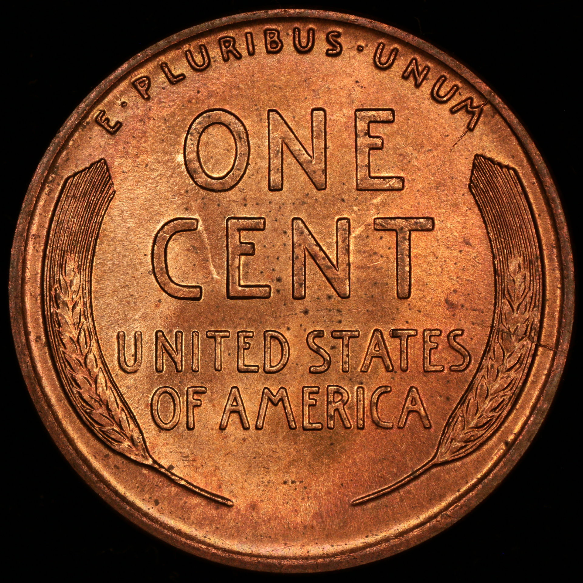 1919-d-re.JPG