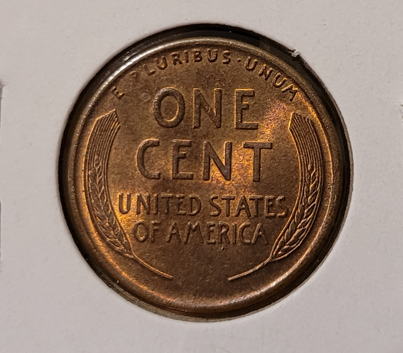 1919 P Cent reverse.jpg