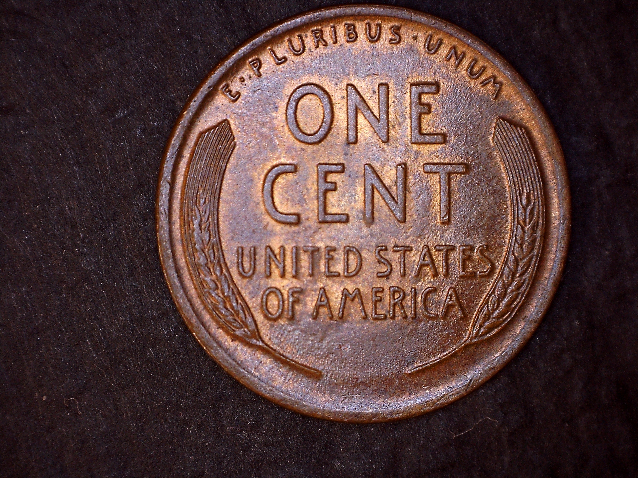 1919 r.jpg