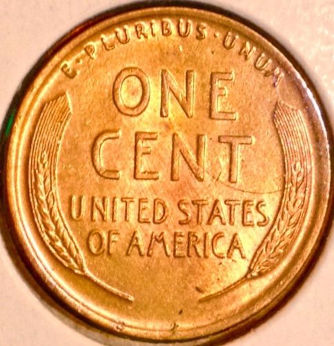 19192.jpg