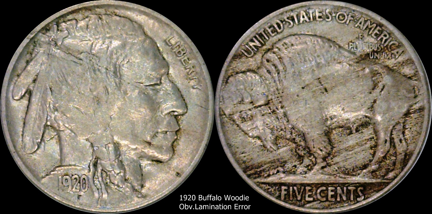 1920 Buffalo Lamination Error.jpg