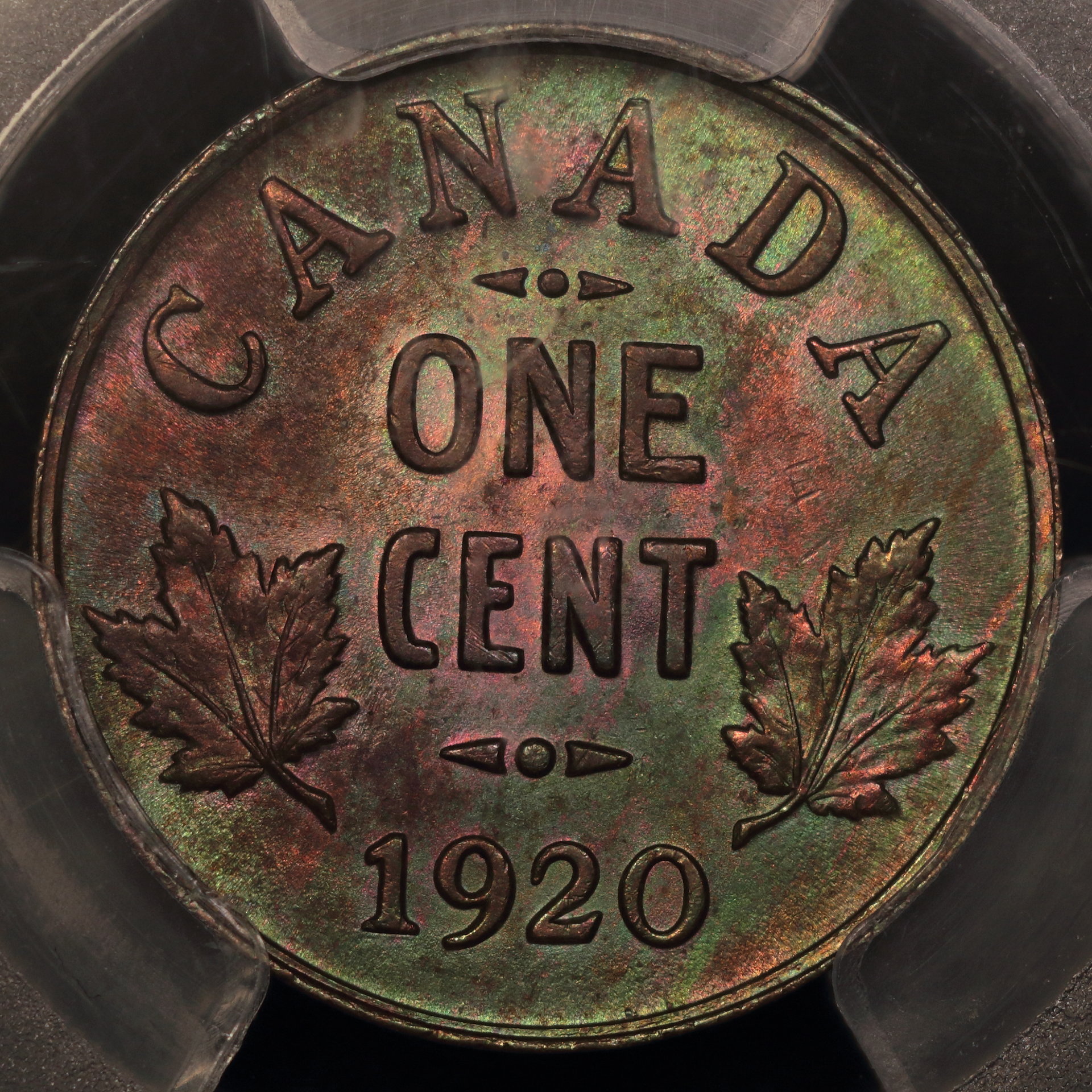 1920 Canada Cent MS-64 BN 29531450 Rev..JPG
