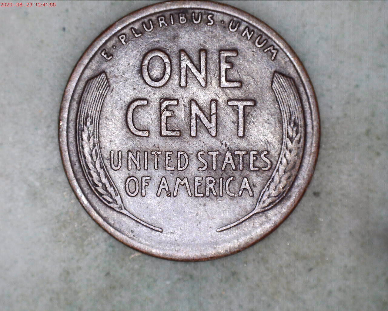 1920 P Rev.jpg