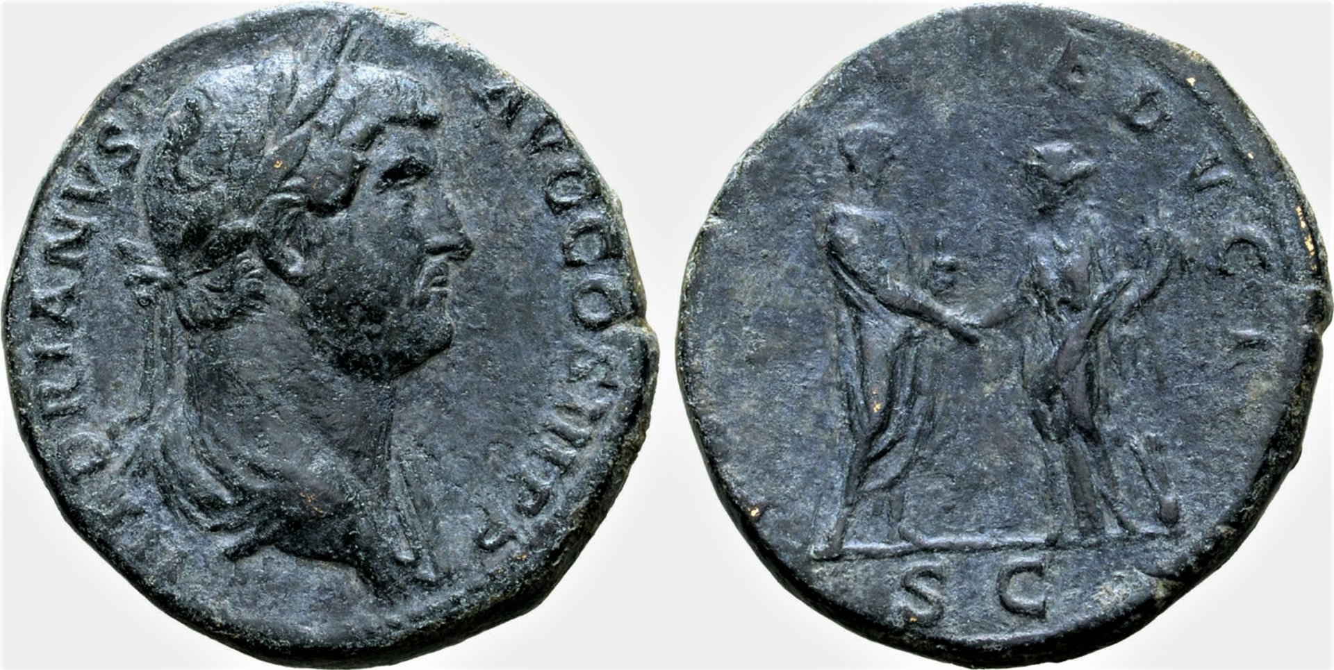 19206.1.122_1a.jpg