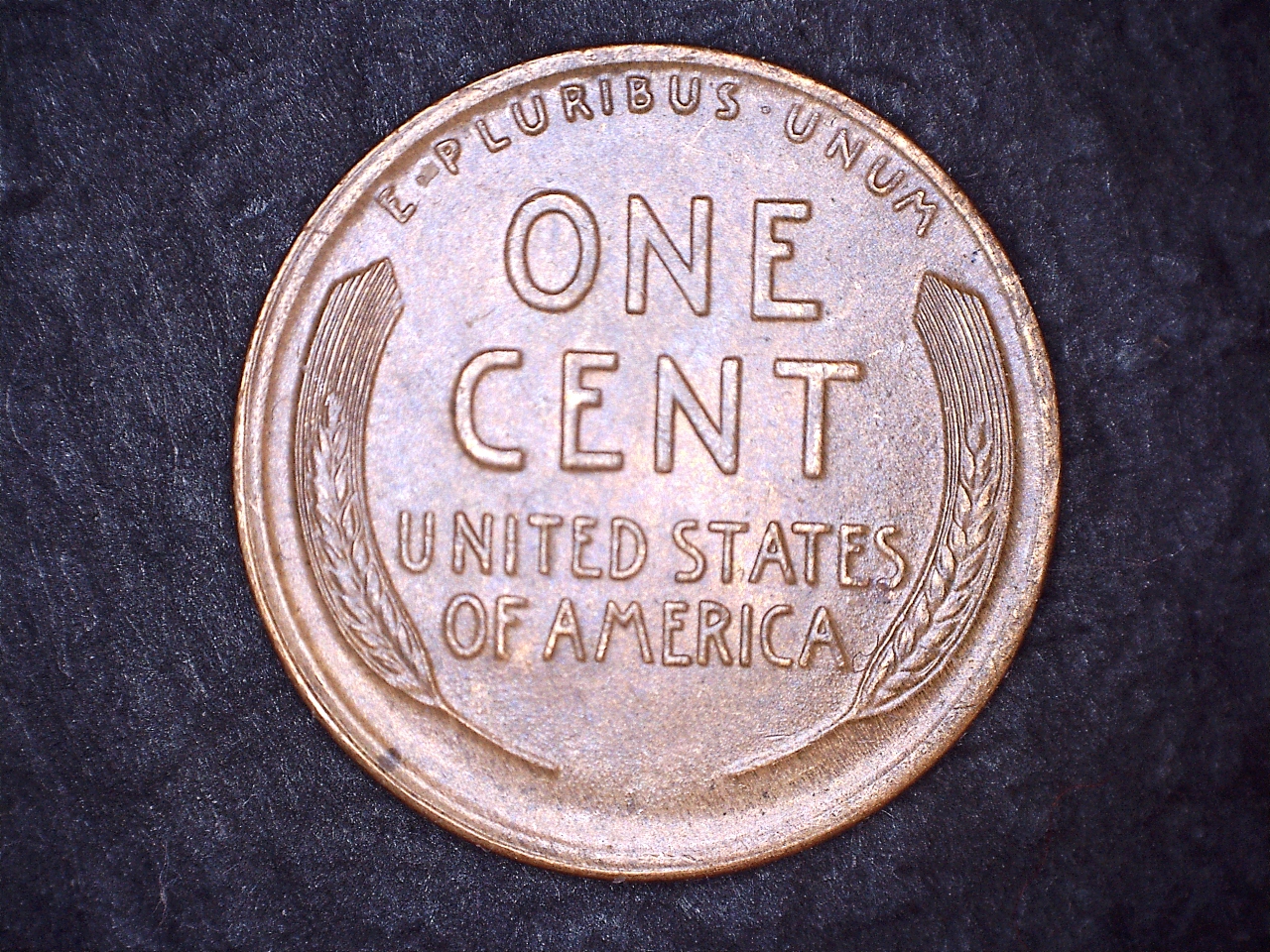 1920D r.jpg