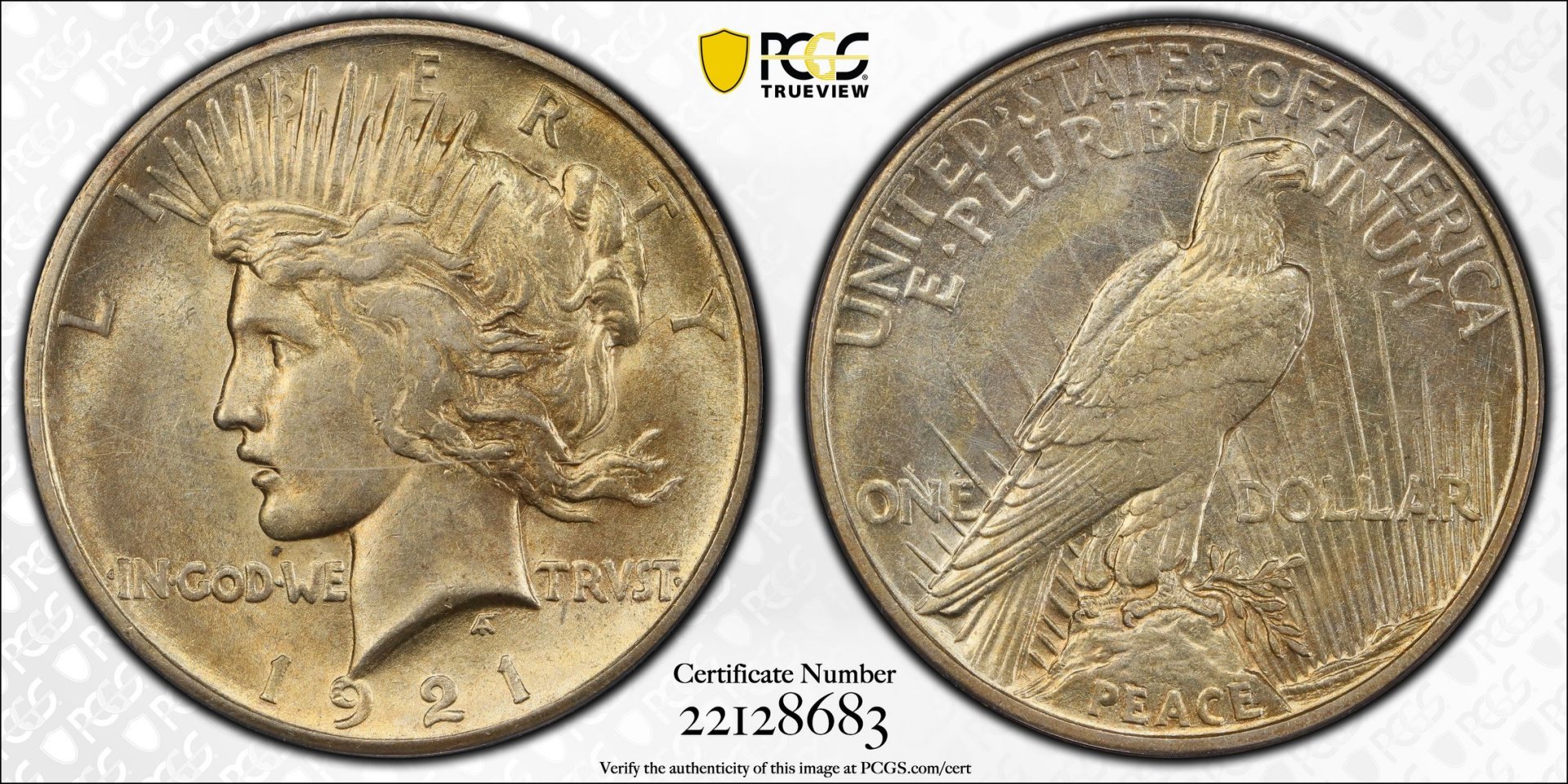 1921 $1 Silver Dollar - Peace Liberty Head - High Relief PCGS AU53 22128683 CAC TrueView Full.jpg