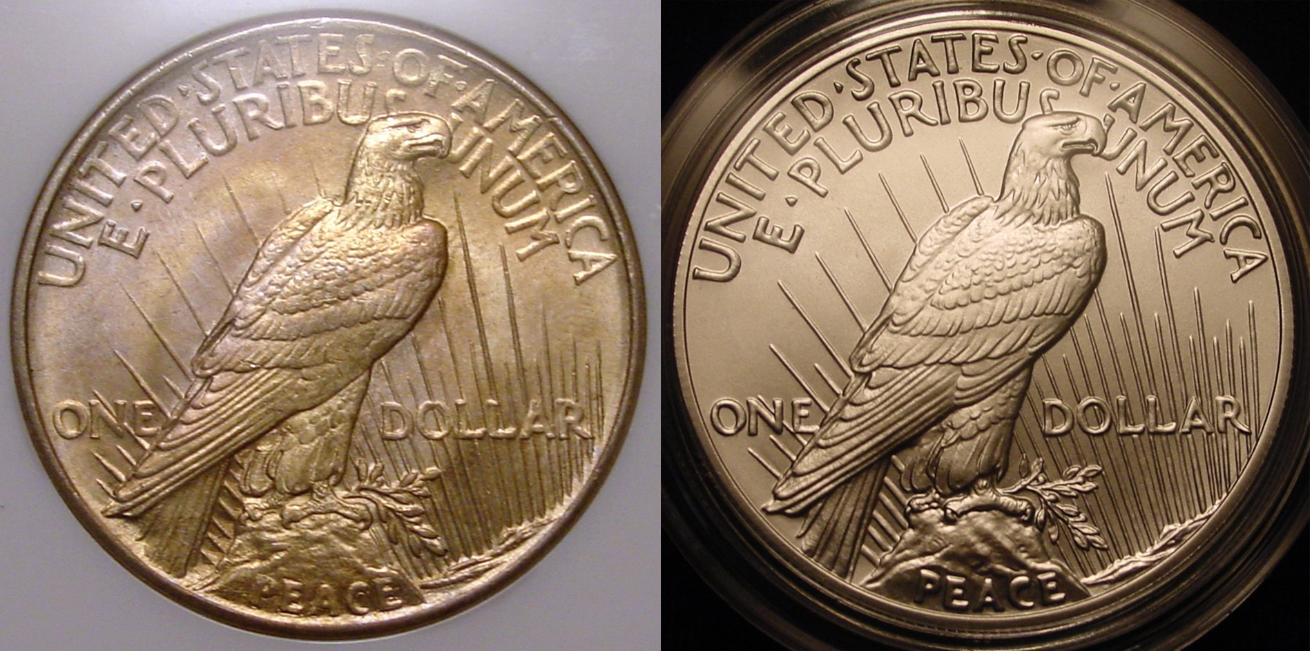 1921 & 2021 Rev.jpg