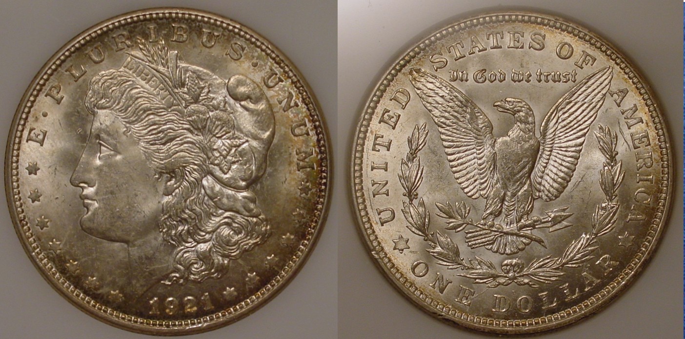 1921-D Morgan All 1.jpg