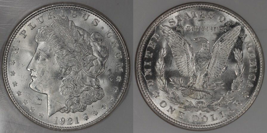 1921-D Morgan combined.jpg