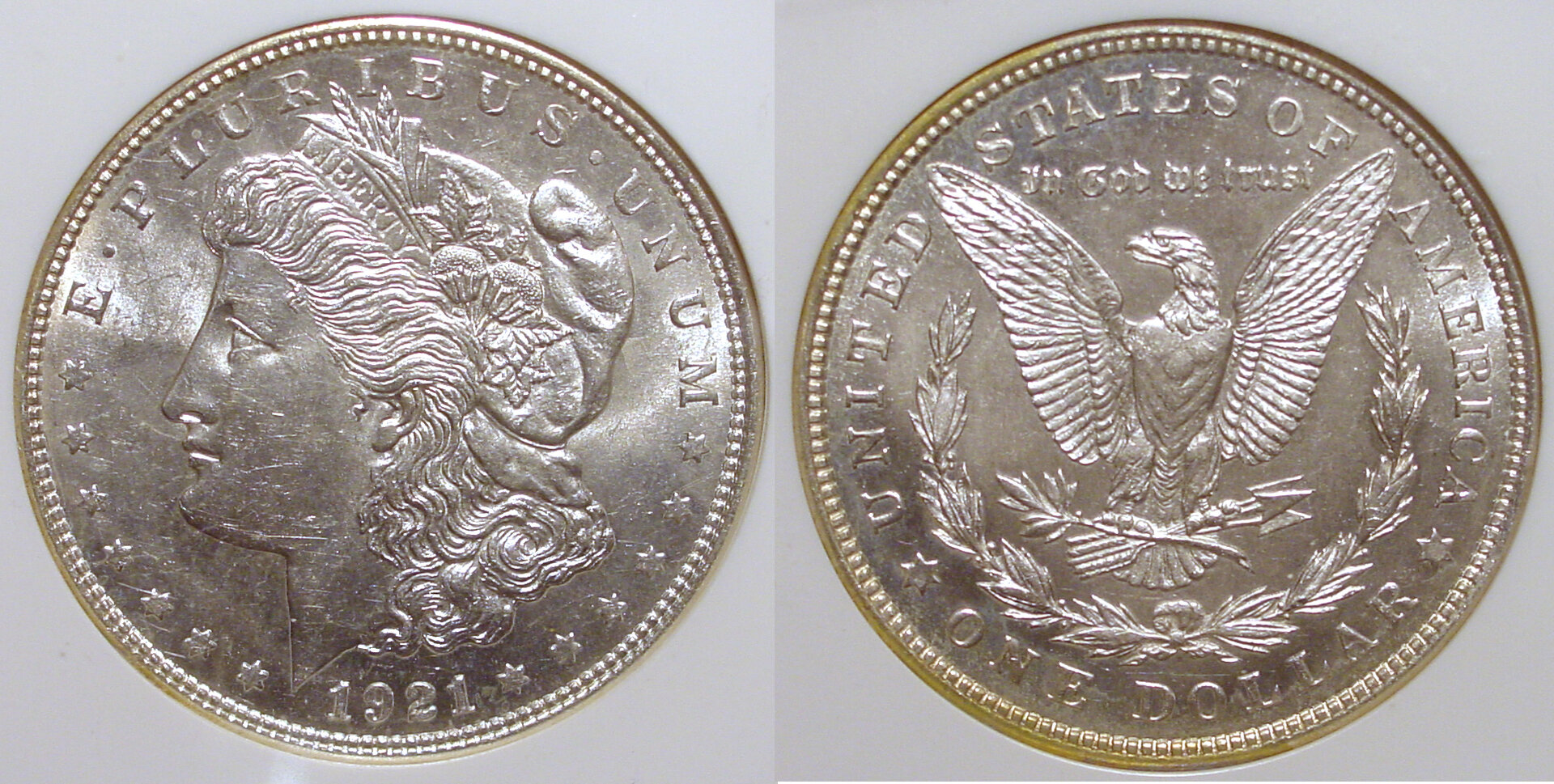 1921 Morgan Dol All.jpg