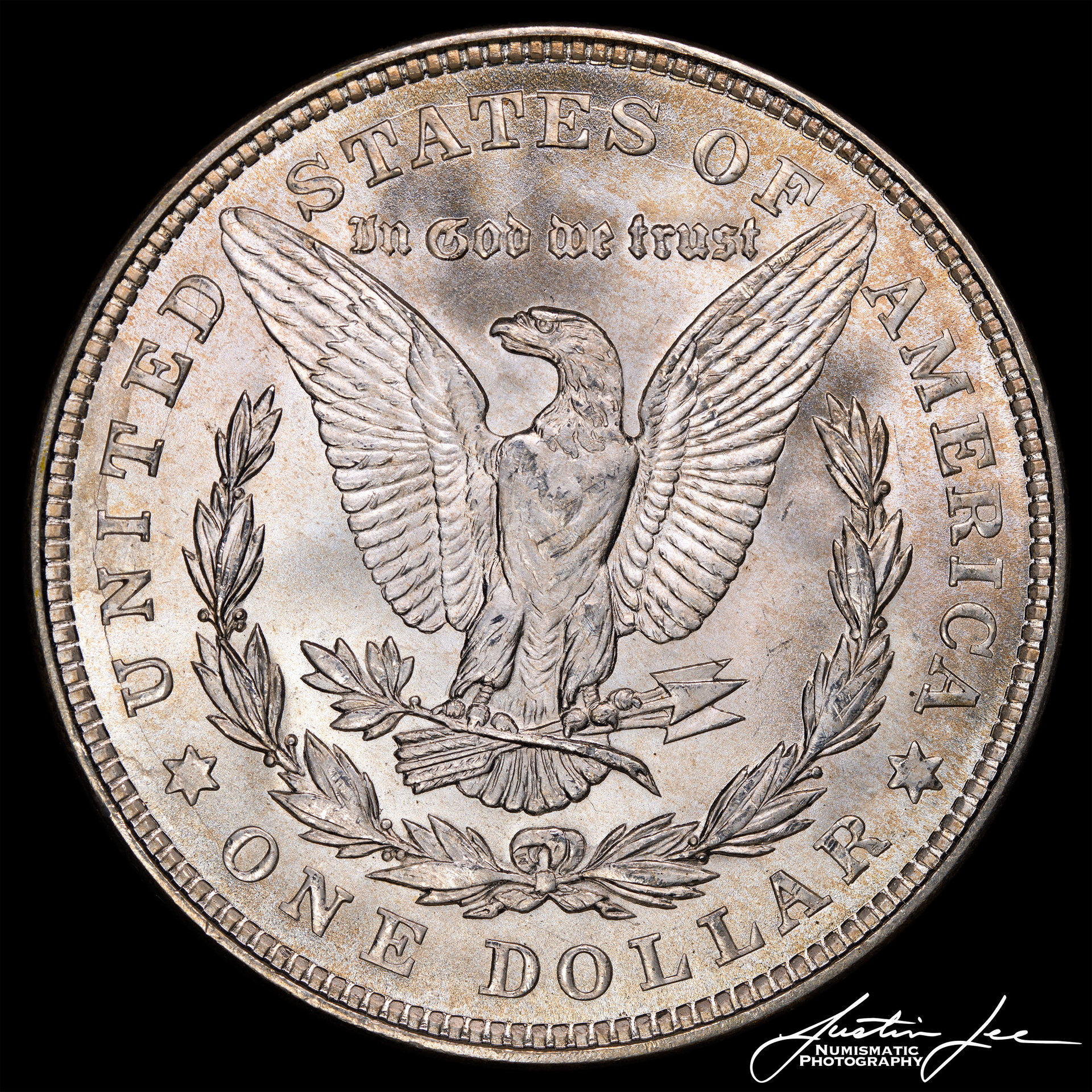 1921-Morgan-Dollar-Reverse-Medium.jpg