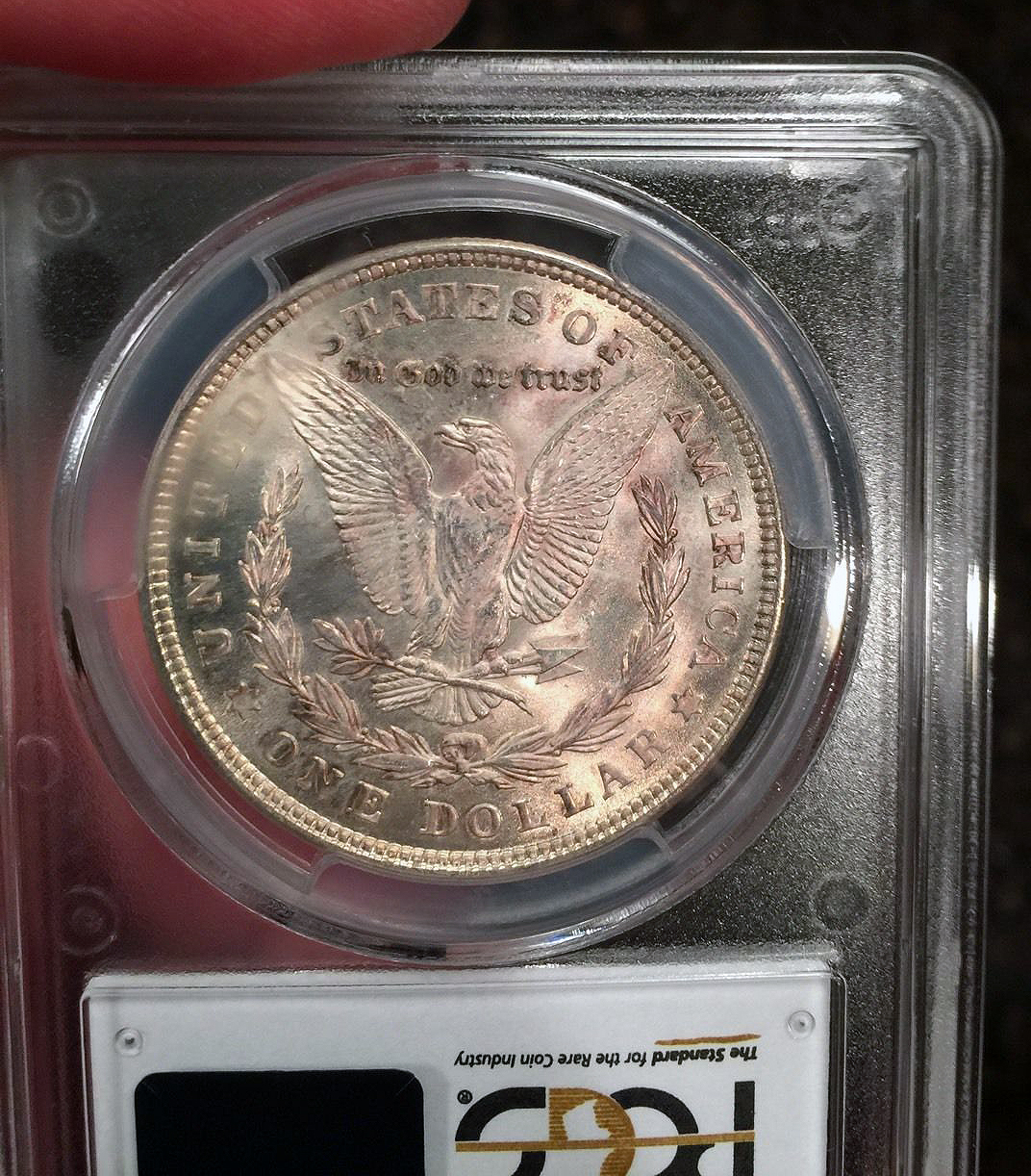 1921 Morgan PCGS MS64 slab-r.jpg