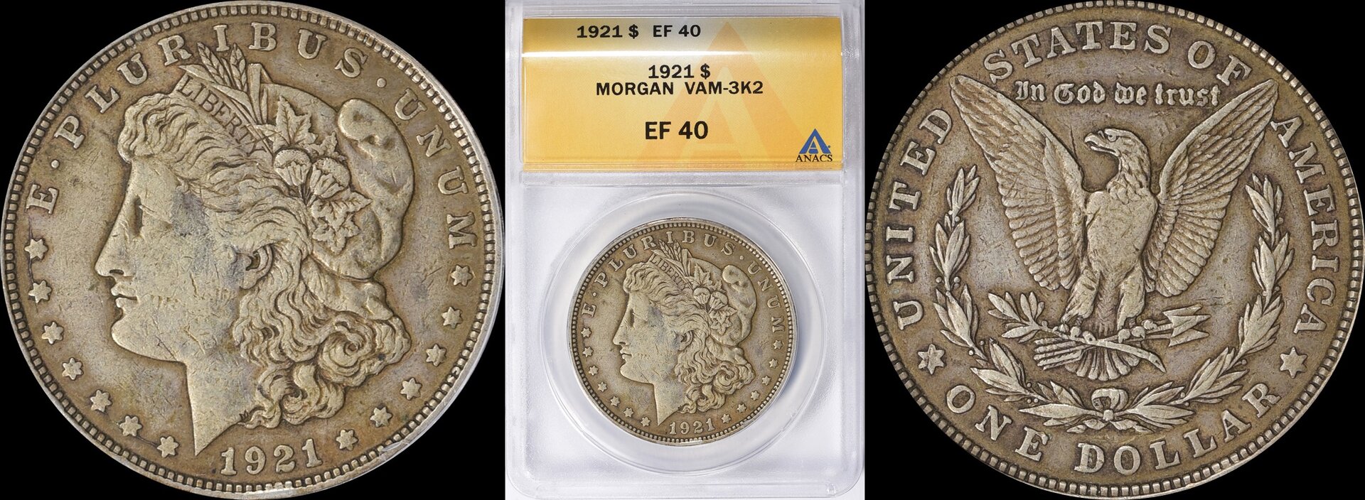 1921 Morgan Silver Dollar VAM-3K2 ANACS XF-40 3.jpg