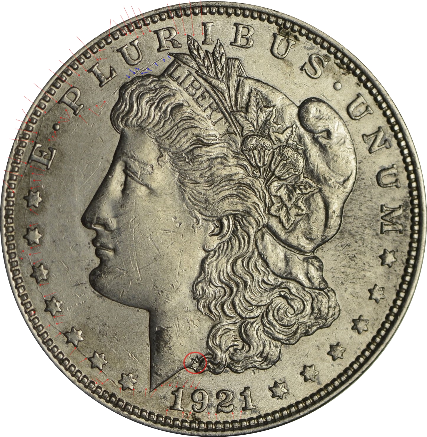 1921 Obverse diagnostics highlighted.jpg